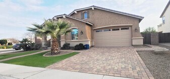 401 E Torrey Pines Pl in Chandler, AZ - Building Photo