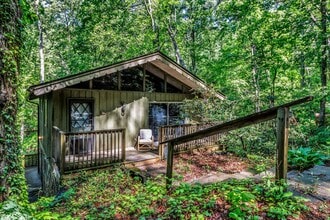 50 Woodhaven Rd in Asheville, NC - Building Photo - Building Photo