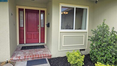 4764 Olive Dr in Concord, CA - Building Photo - Building Photo