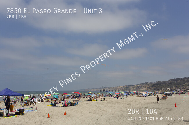 7850 El Paseo Grande in La Jolla, CA - Building Photo - Building Photo