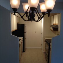 141 Green Turtle Ln, Unit 4 in Charlottesville, VA - Foto de edificio - Building Photo