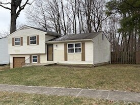 4177 Camellia Ct in Westerville, OH - Building Photo