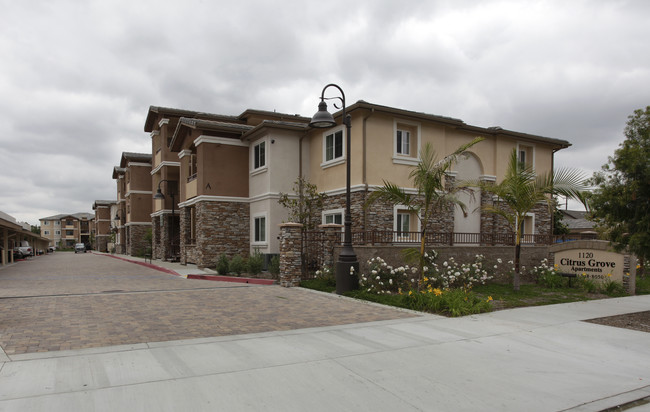 Citrus Grove Apartments in Orange, CA - Building Photo - Building Photo