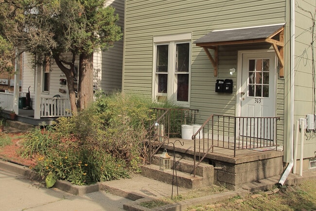 313 Peebles St, Unit 1 in Pittsburgh, PA - Foto de edificio - Building Photo