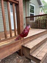 96 Oakley Rd in Asheville, NC - Building Photo - Building Photo