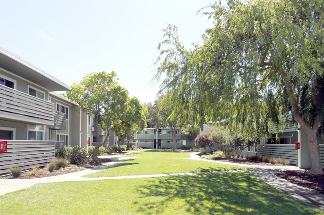 Branham House in San Jose, CA - Foto de edificio - Building Photo