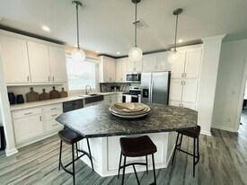 34628 Ballyhoo Dr in Zephyrhills, FL - Building Photo