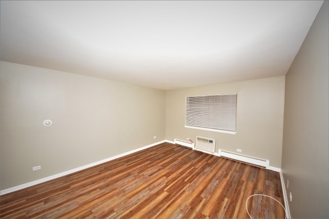 319 Bluff Ave in La Grange, IL - Building Photo - Building Photo