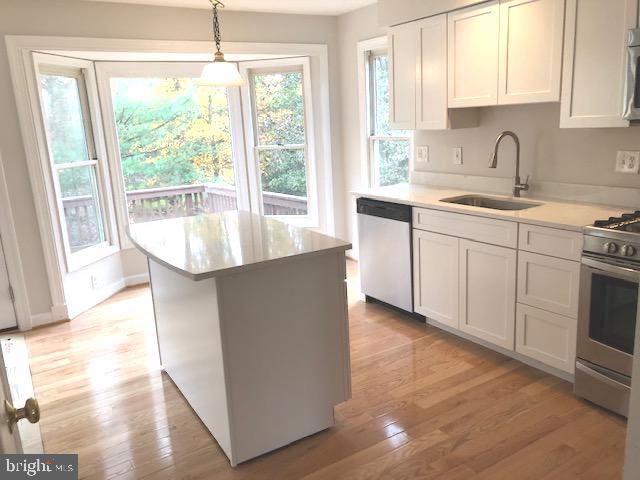 46529 River Meadows Terrace in Sterling, VA - Building Photo - Building Photo