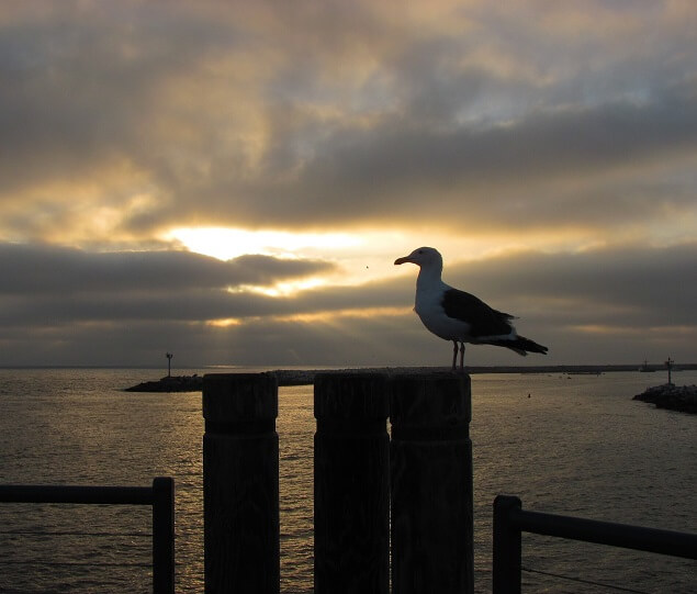 Apartamentos Alquiler en Redondo Beach, CA