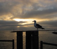 Rentals in Redondo Beach, CA