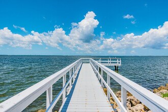 2502 N Rocky Point Dr in Tampa, FL - Building Photo - Building Photo