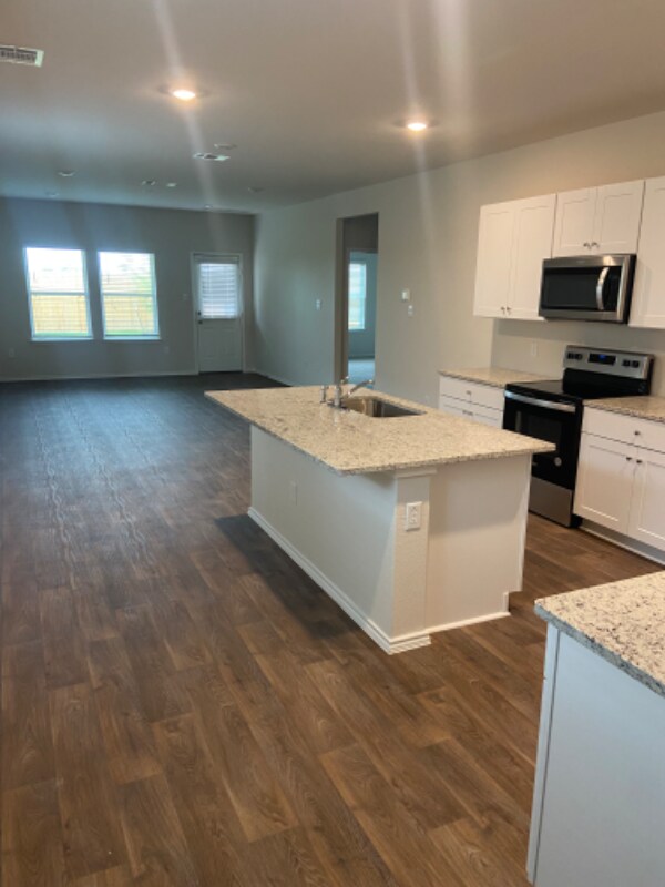 1703 Chianti Pass in Canyon Lake, TX - Building Photo - Building Photo