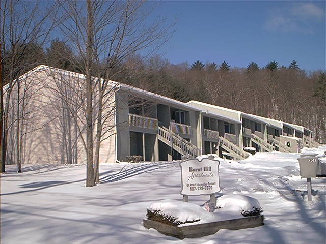 Bornt Hill Apartments in Endicott, NY - Building Photo