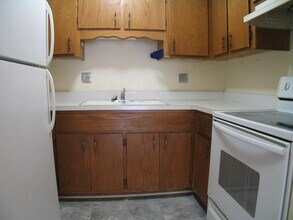 336 Lathrop Ave-Unit -202 in Forest Park, IL - Building Photo - Building Photo