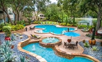 Stillwater Palms in Palm Harbor, FL - Building Photo