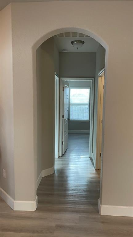 197 Limerick Rd in Buda, TX - Building Photo - Building Photo