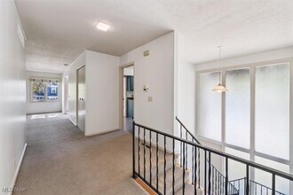 41 S Cedar St in Oberlin, OH - Building Photo - Building Photo