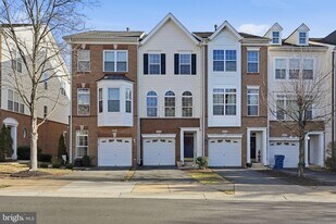 20390 Bass Rocks Terrace in Ashburn, VA - Building Photo