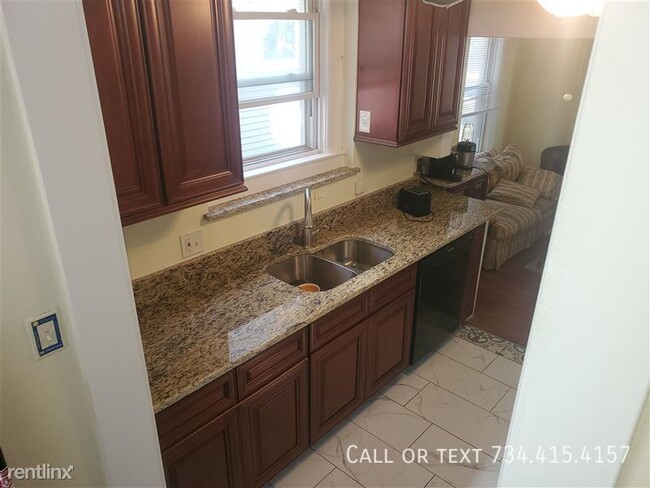 1115 White St in Ann Arbor, MI - Building Photo - Building Photo