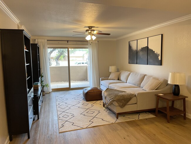 property at 8260 E Arabian Trl