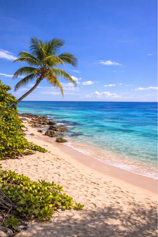 14 Bunker Knolls Ln in Palm Coast, FL - Building Photo - Building Photo