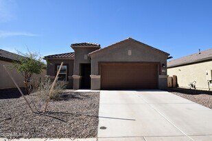 10155 N Leopard Gecko Terrace in Marana, AZ - Building Photo