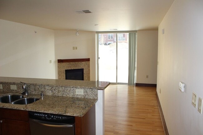 333 W Mifflin St, Unit 6110 in Madison, WI - Foto de edificio - Building Photo