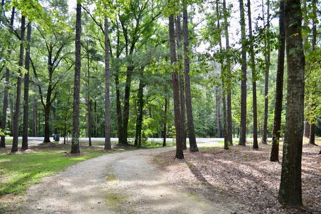 7330 Society Hill Rd in Auburn, AL - Foto de edificio - Building Photo