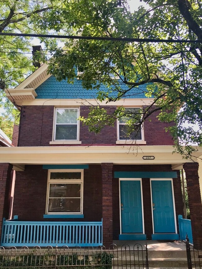 property at 217 Emming St