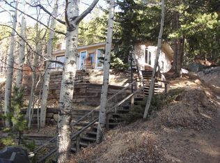 8680 London Ln in Conifer, CO - Building Photo