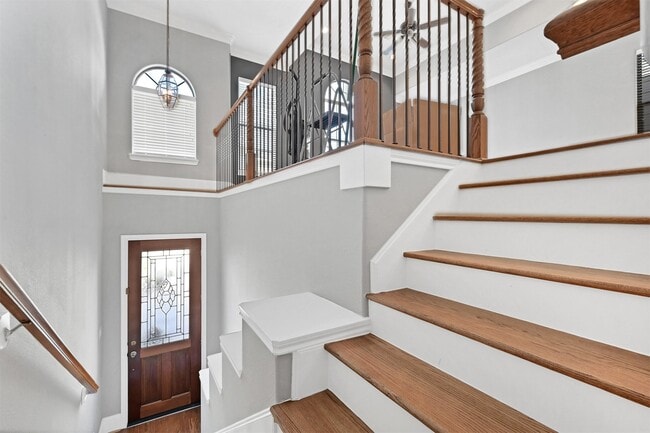 1346 Studer St in Houston, TX - Building Photo - Building Photo