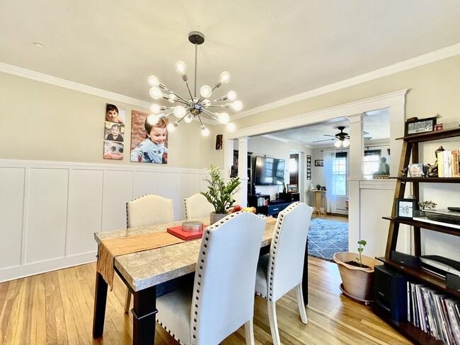 55 Alma Ave in Belmont, MA - Building Photo - Building Photo