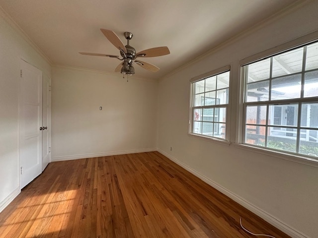 8318 Kittyhawk Ave in Los Angeles, CA - Building Photo - Building Photo