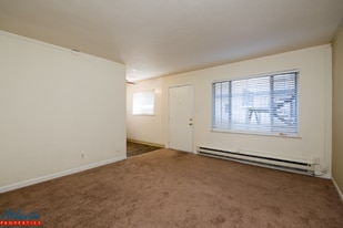 420 S Third St in San Jose, CA - Building Photo