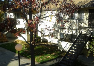 Windcrest Apartments in Colton, CA - Foto de edificio - Building Photo