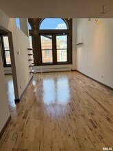226 S 6th St in Springfield, IL - Building Photo - Building Photo