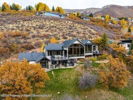 349 Draw Dr in Aspen, CO - Building Photo