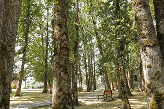 The Avery at Orenco Station in Hillsboro, OR - Building Photo - Building Photo