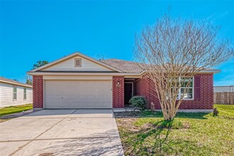 28710 Blanco River Ct in Spring, TX - Building Photo - Building Photo