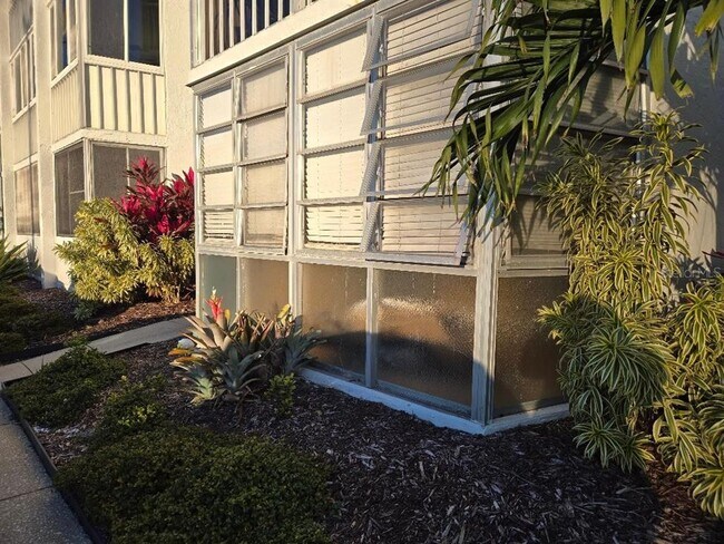 4908 38th Way S in St. Petersburg, FL - Foto de edificio - Building Photo