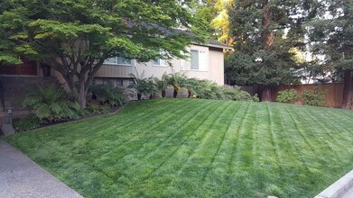 1308 Still Creek Pl in Danville, CA - Building Photo - Building Photo
