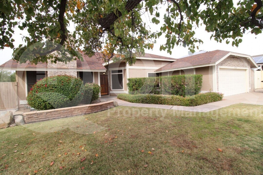 11638 N 109th St in Scottsdale, AZ - Building Photo