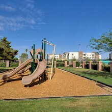 2150 E Ellis Dr in Tempe, AZ - Building Photo - Building Photo