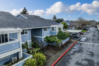 Mountain View Apartments in Santa Rosa, CA - Building Photo - Building Photo