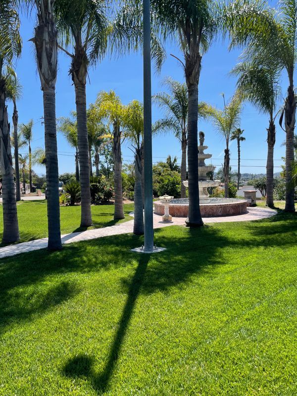 1168 Calle Maria in San Marcos, CA - Building Photo - Building Photo
