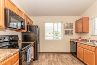 Lion Village Student Housing in Colorado Springs, CO - Building Photo - Building Photo