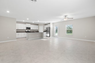 5245 White Chicory Dr in Apollo Beach, FL - Building Photo - Building Photo