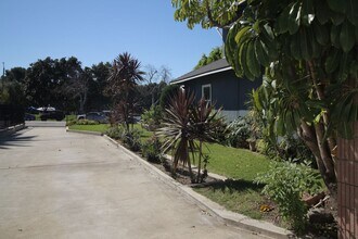 341 W 124th St in Los Angeles, CA - Foto de edificio - Building Photo