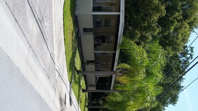 240 E Martin Luther King Jr Dr in Tarpon Springs, FL - Building Photo